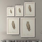 Size comparison chart for a set of two white barnwood framed canvas prints.