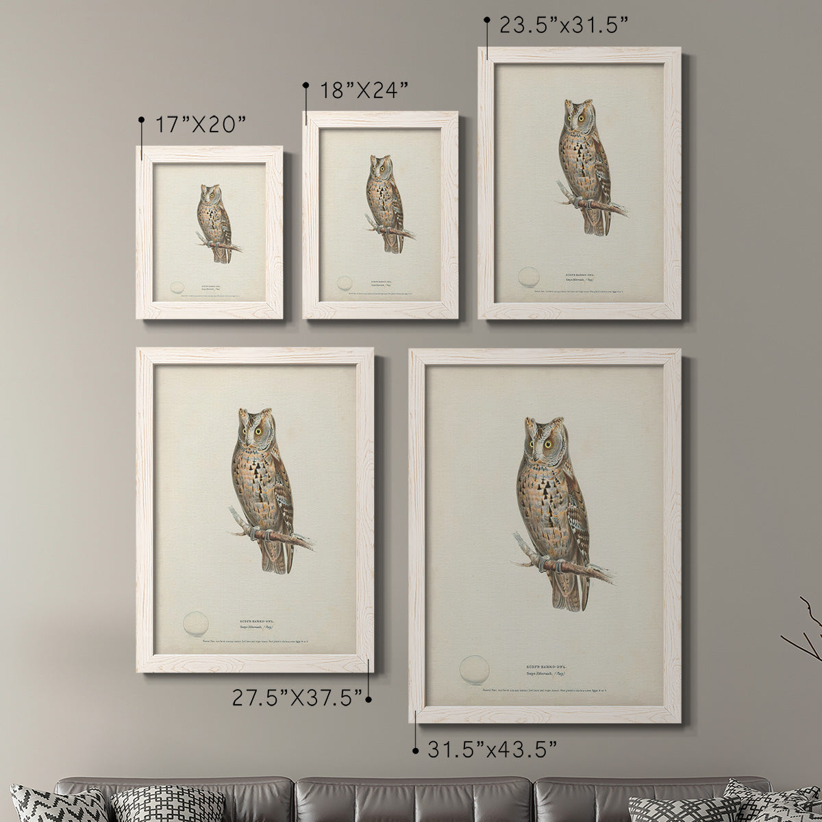 Size comparison chart for a set of two white barnwood framed canvas prints.