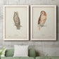 Set of two white barnwood framed canvas prints depicting a coordinated art pair of vintage owl specimens perched in natural settings rendered as antique bird plate illustrations above a sofa in a modern living room.