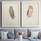 Set of two white barnwood framed canvas prints depicting paired antique bird plate illustrations with detailed feathers, branches, pale paper, and natural-history labels above a sofa in a contemporary living room.