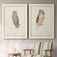Set of two white barnwood framed canvas prints depicting two antique bird plate illustrations featuring vintage owl specimens perched in natural settings above a sideboard in a cozy sitting room.