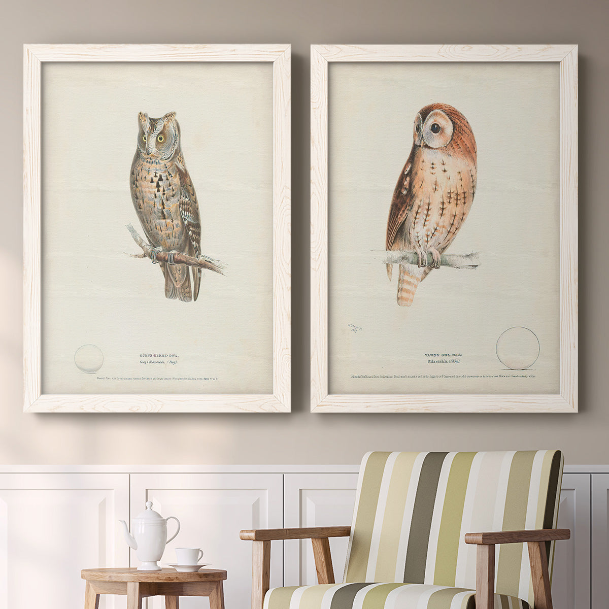 Set of two white barnwood framed canvas prints depicting two antique bird plate illustrations featuring vintage owl specimens perched in natural settings above a sideboard in a cozy sitting room.