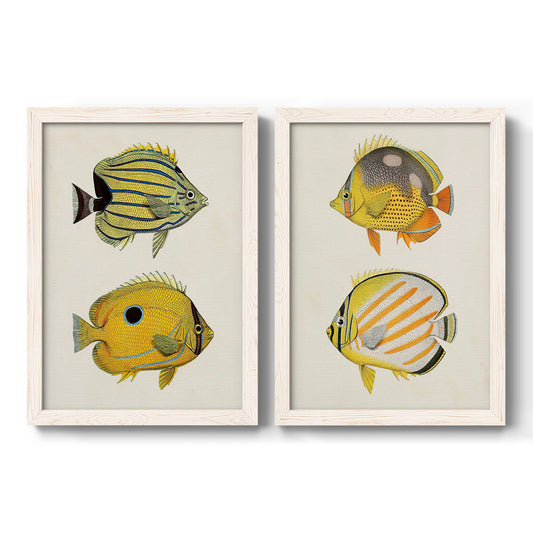 Set of two white barnwood framed canvas prints featuring two natural-history fish illustrations featuring groups of vintage tropical fish.