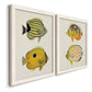 Angled view of a set of two white barnwood framed canvas prints featuring two natural-history fish illustrations featuring groups of vintage tropical fish.