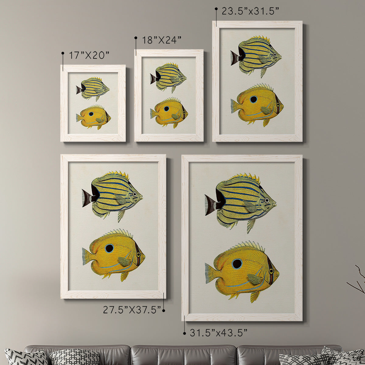 Size comparison chart for a set of two white barnwood framed canvas prints.