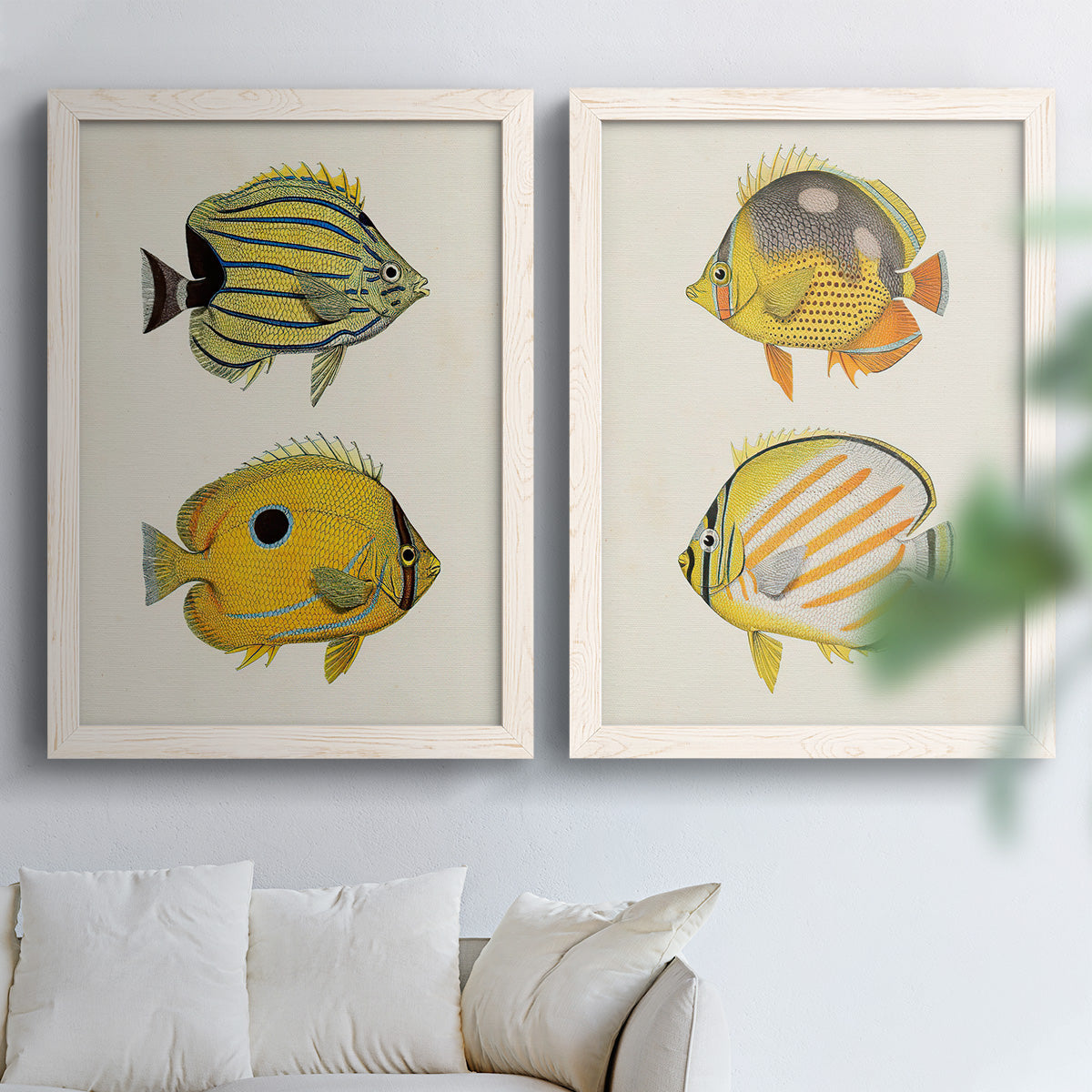 Set of two white barnwood framed canvas prints depicting striped yellow gray and orange bodies on pale archival paper arranged across two complementary compositions above a sofa in a bright living space.