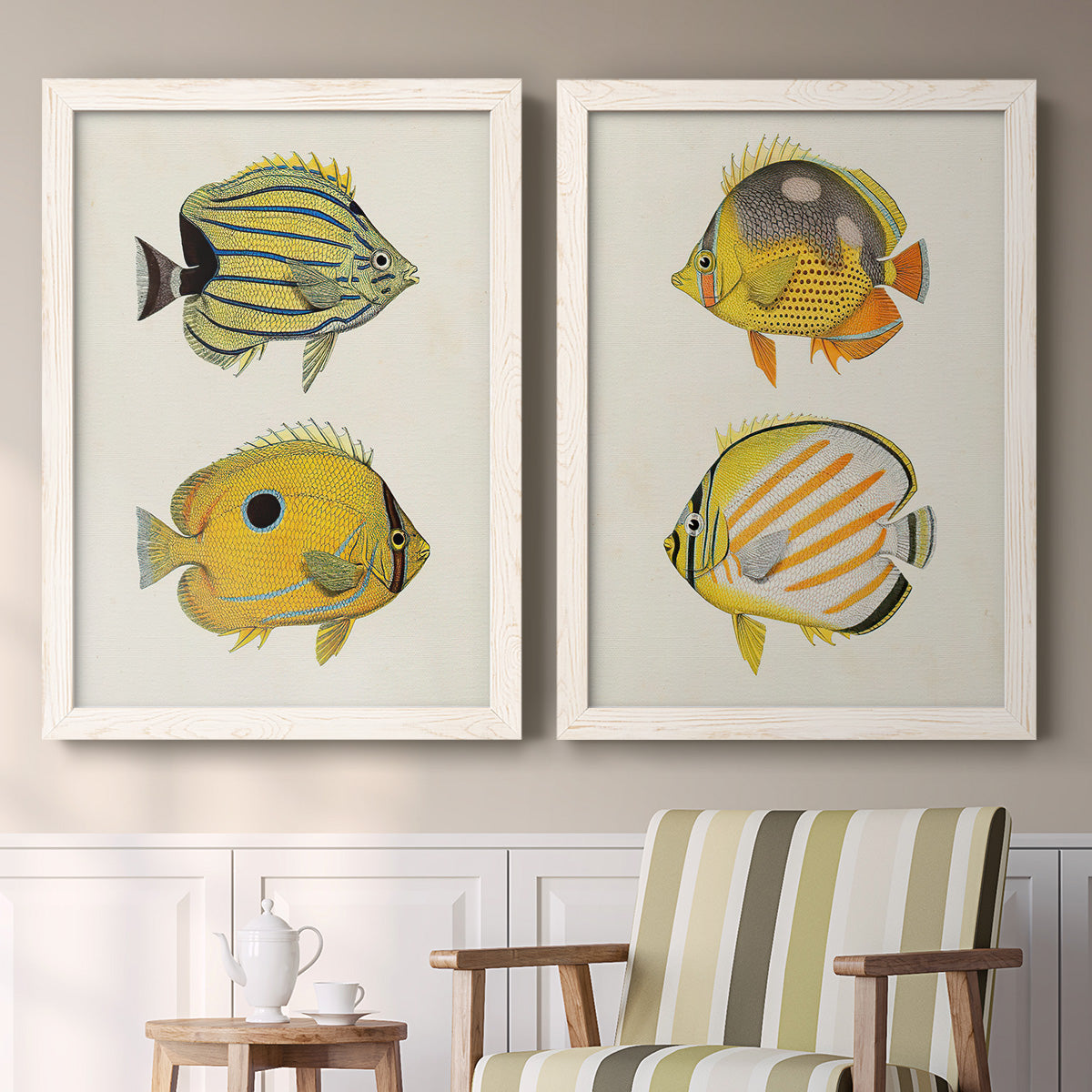Set of two white barnwood framed canvas prints depicting two natural-history fish illustrations featuring groups of vintage tropical fish above a sideboard in a cozy sitting room.