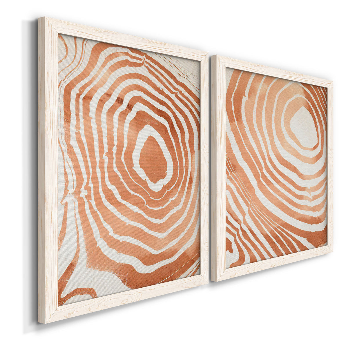 Angled view of a set of two white barnwood framed canvas prints featuring two minimalist marbled pattern abstracts featuring concentric wood-grain rings and rippling contour lines.