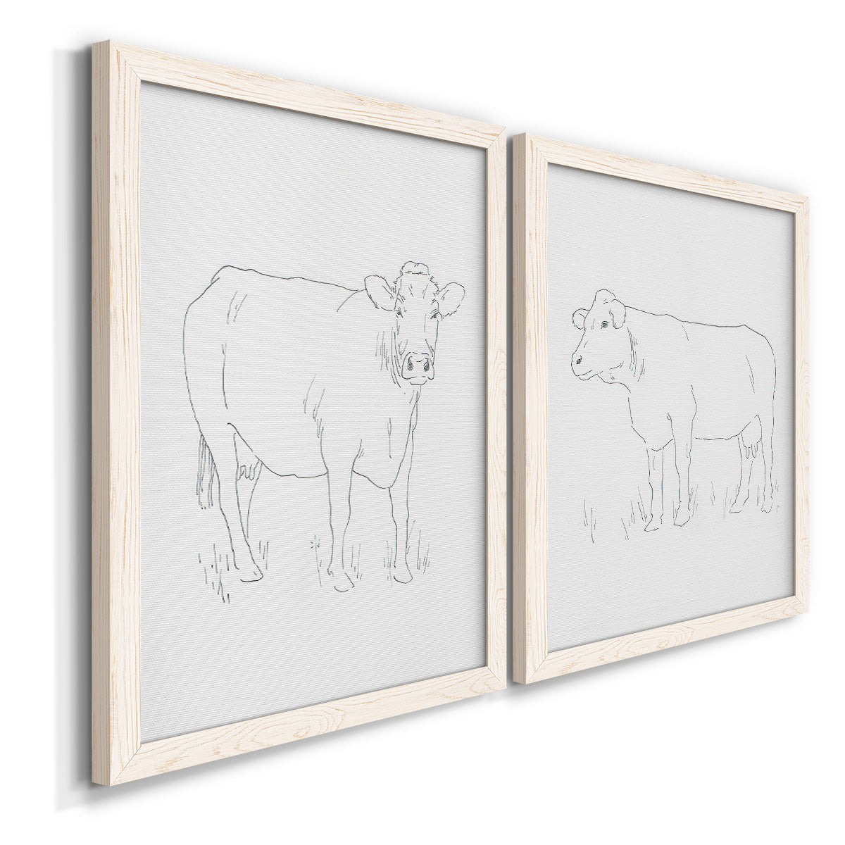 Angled view of a set of two white barnwood framed canvas prints featuring two minimalist livestock sketches featuring simple contour drawings of standing cows.