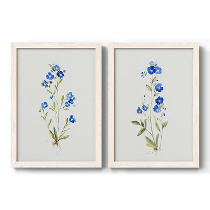 Set of two white barnwood framed canvas prints featuring two delicate watercolor botanical studies featuring small blue wildflower stems.