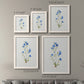 Size comparison chart for a set of two white barnwood framed canvas prints.