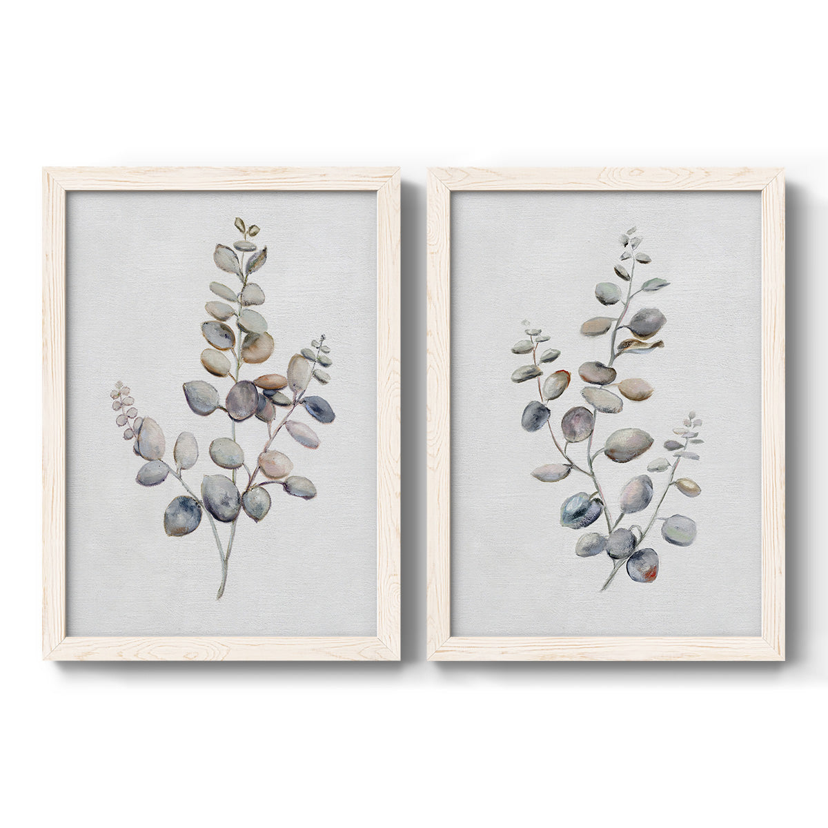 Set of two white barnwood framed canvas prints featuring two minimalist watercolor botanical studies featuring delicate eucalyptus branches with rounded leaves.