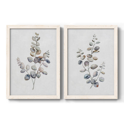 Set of two white barnwood framed canvas prints featuring two minimalist watercolor botanical studies featuring delicate eucalyptus branches with rounded leaves.