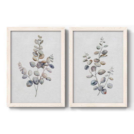 Set of two white barnwood framed canvas prints featuring two minimalist watercolor botanical studies featuring delicate eucalyptus branches with rounded leaves.