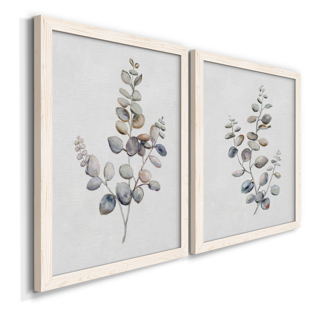 Angled view of a set of two white barnwood framed canvas prints featuring two minimalist watercolor botanical studies featuring delicate eucalyptus branches with rounded leaves.