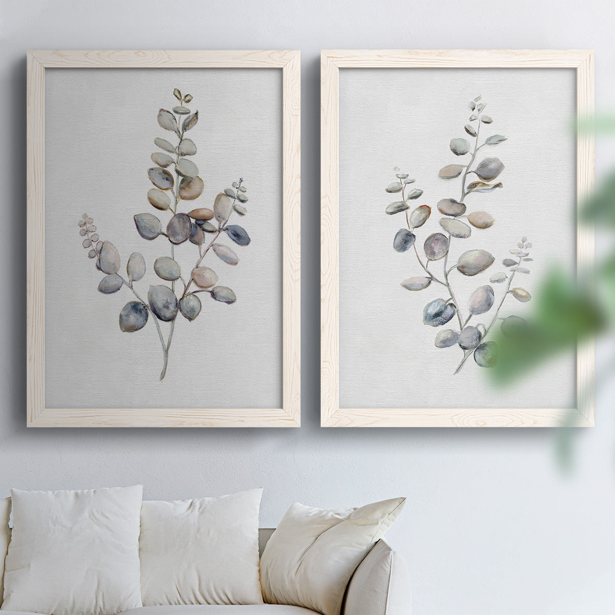 Set of two white barnwood framed canvas prints depicting soft sage gray and muted green leaves on clean white grounds arranged across two complementary compositions above a sofa in a bright living space.