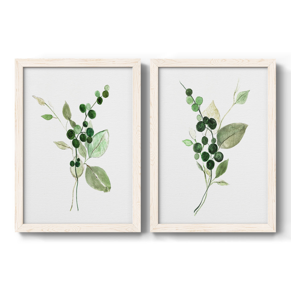 Set of two white barnwood framed canvas prints featuring two rustic watercolor botanical studies featuring green berry sprigs and pale leaves.