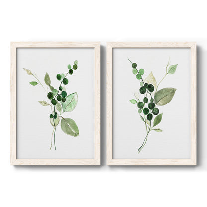 Set of two white barnwood framed canvas prints featuring two rustic watercolor botanical studies featuring green berry sprigs and pale leaves.
