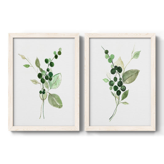 Set of two white barnwood framed canvas prints featuring two rustic watercolor botanical studies featuring green berry sprigs and pale leaves.