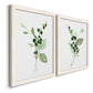 Angled view of a set of two white barnwood framed canvas prints featuring two rustic watercolor botanical studies featuring green berry sprigs and pale leaves.