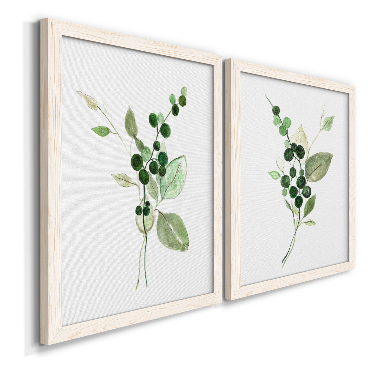Angled view of a set of two white barnwood framed canvas prints featuring two rustic watercolor botanical studies featuring green berry sprigs and pale leaves.