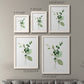 Size comparison chart for a set of two white barnwood framed canvas prints.
