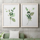Set of two white barnwood framed canvas prints depicting a coordinated art pair of green berry sprigs and pale leaves rendered as rustic watercolor botanical studies above a sofa in a modern living room.