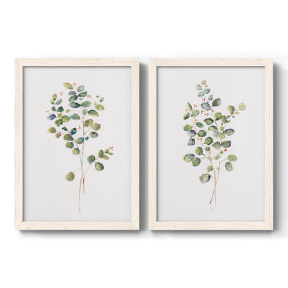 Set of two white barnwood framed canvas prints featuring two minimalist watercolor botanical studies featuring delicate eucalyptus branches with rounded leaves.