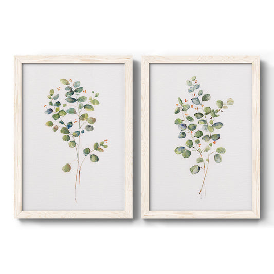 Set of two white barnwood framed canvas prints featuring two minimalist watercolor botanical studies featuring delicate eucalyptus branches with rounded leaves.