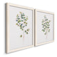 Angled view of a set of two white barnwood framed canvas prints featuring two minimalist watercolor botanical studies featuring delicate eucalyptus branches with rounded leaves.