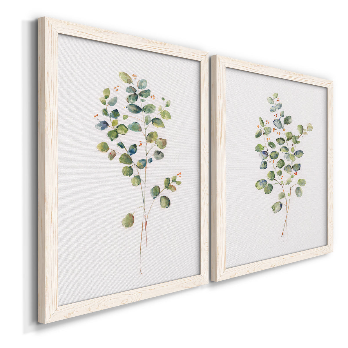 Angled view of a set of two white barnwood framed canvas prints featuring two minimalist watercolor botanical studies featuring delicate eucalyptus branches with rounded leaves.