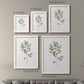 Size comparison chart for a set of two white barnwood framed canvas prints.