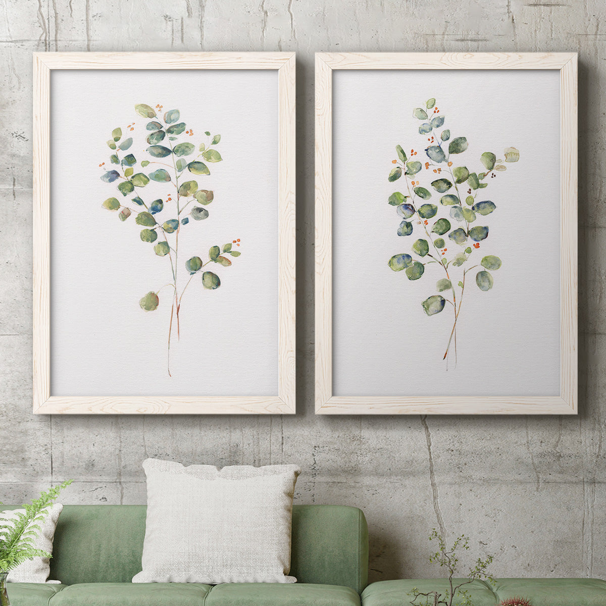 Set of two white barnwood framed canvas prints depicting a coordinated art pair of delicate eucalyptus branches with rounded leaves rendered as minimalist watercolor botanical studies above a sofa in a modern living room.