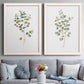 Set of two white barnwood framed canvas prints depicting paired minimalist watercolor botanical studies with soft sage gray and muted green leaves on clean white grounds above a sofa in a contemporary living room.