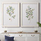 Set of two white barnwood framed canvas prints depicting a coordinated art pair of delicate eucalyptus branches with rounded leaves rendered as minimalist watercolor botanical studies above a dining room sideboard.