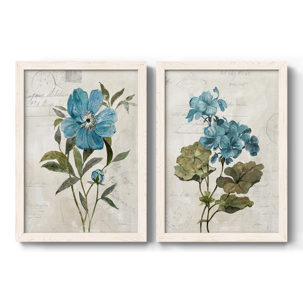 Set of two white barnwood framed canvas prints featuring two rustic floral illustrations featuring blue peony and hydrangea-like blooms over vintage script.