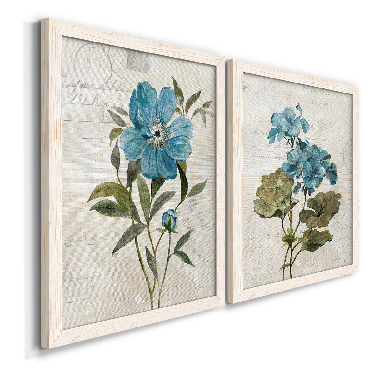 Angled view of a set of two white barnwood framed canvas prints featuring two rustic floral illustrations featuring blue peony and hydrangea-like blooms over vintage script.