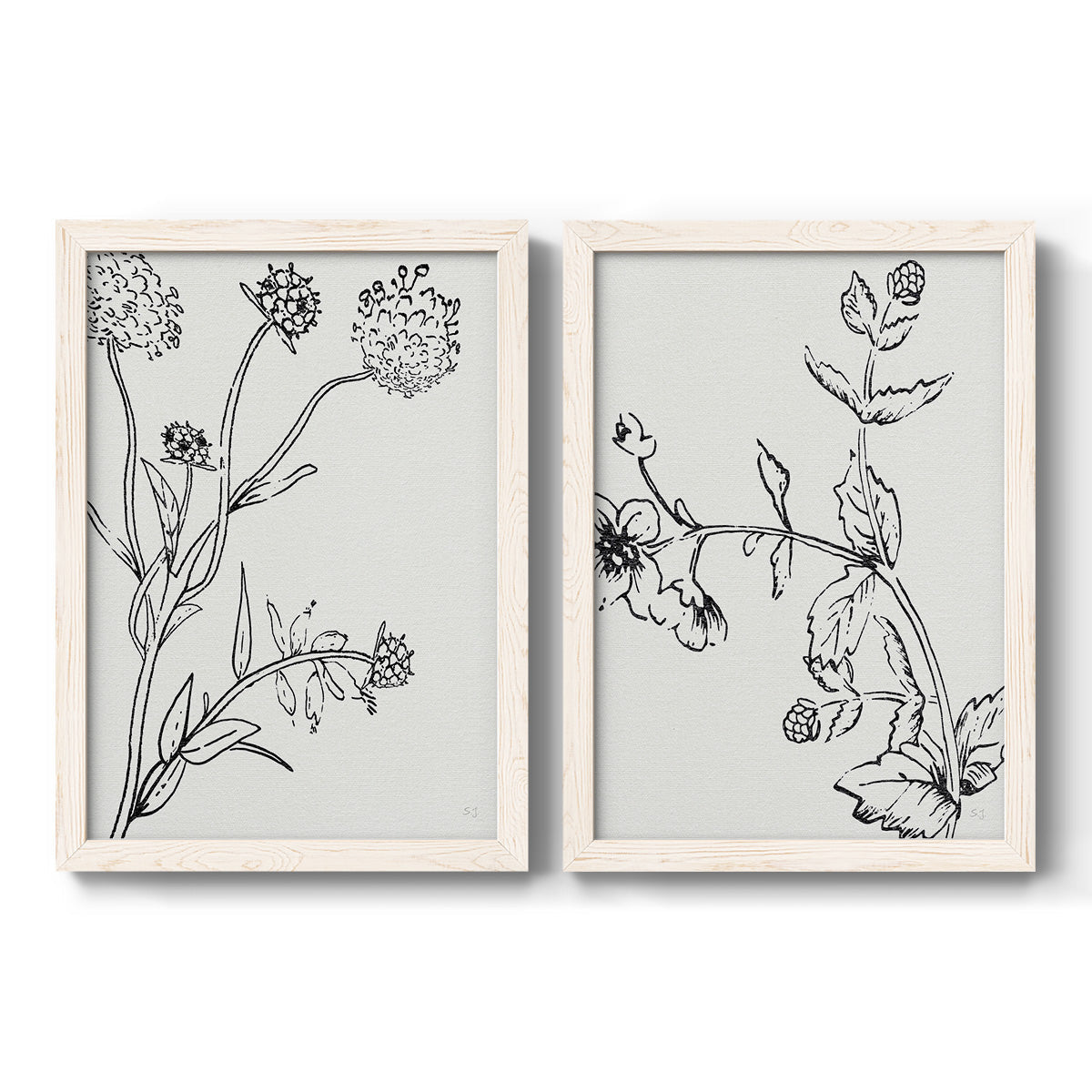 Set of two white barnwood framed canvas prints featuring two minimalist botanical sketches featuring black line drawings of wildflowers and leaves.