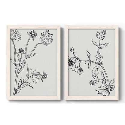 Set of two white barnwood framed canvas prints featuring two minimalist botanical sketches featuring black line drawings of wildflowers and leaves.