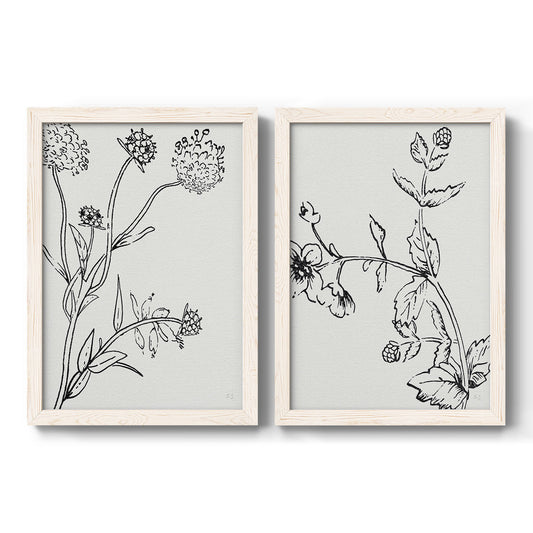 Set of two white barnwood framed canvas prints featuring two minimalist botanical sketches featuring black line drawings of wildflowers and leaves.