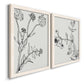Angled view of a set of two white barnwood framed canvas prints featuring two minimalist botanical sketches featuring black line drawings of wildflowers and leaves.