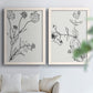 Set of two white barnwood framed canvas prints depicting fine stems, seed heads, blossoms, and open white backgrounds arranged across two complementary compositions above a sofa in a bright living space.