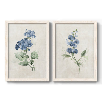Set of two white barnwood framed canvas prints featuring two farmhouse botanical illustrations featuring blue periwinkle flowers with leafy stems.