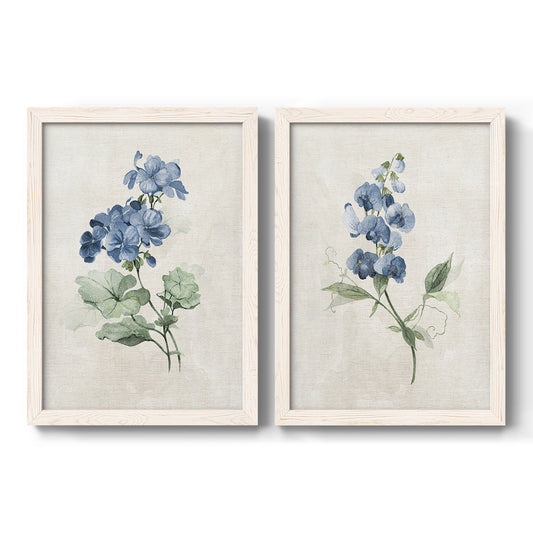 Set of two white barnwood framed canvas prints featuring two farmhouse botanical illustrations featuring blue periwinkle flowers with leafy stems.