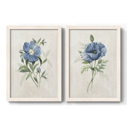 Set of two white barnwood framed canvas prints featuring two farmhouse botanical illustrations featuring blue periwinkle flowers with leafy stems.