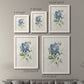 Size comparison chart for a set of two white barnwood framed canvas prints.