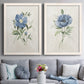 Set of two white barnwood framed canvas prints depicting paired farmhouse botanical illustrations with single blue blossoms, green leaves, and lightly textured cream grounds above a sofa in a contemporary living room.