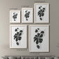 Size comparison chart for a set of two white barnwood framed canvas prints.