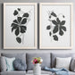 Set of two white barnwood framed canvas prints depicting paired minimalist botanical prints with bold dark leaves, curving stems, and clean white grounds above a sofa in a contemporary living room.