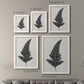 Size comparison chart for a set of two white barnwood framed canvas prints.